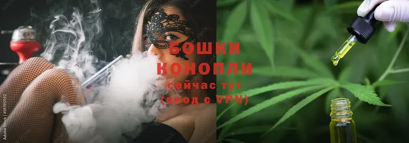 Конопля SATIVA & INDICA  Порхов 